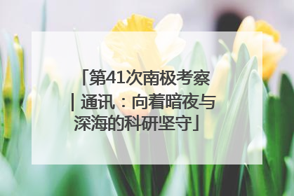 第41次南极考察｜通讯：向着暗夜与深海的科研坚守