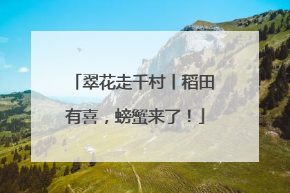 翠花走千村丨稻田有喜，螃蟹来了！
