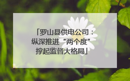 罗山县供电公司：纵深推进“两个度” 撑起监督大格局