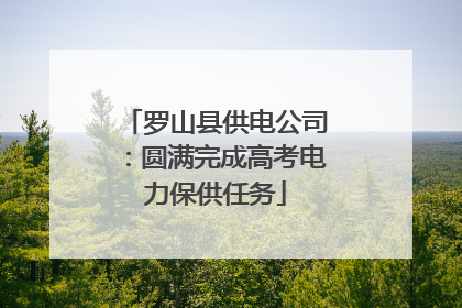 罗山县供电公司：圆满完成高考电力保供任务
