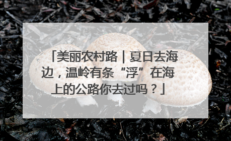 美丽农村路｜夏日去海边，温岭有条“浮”在海上的公路你去过吗？
