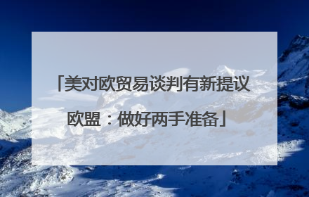 美对欧贸易谈判有新提议 欧盟：做好两手准备