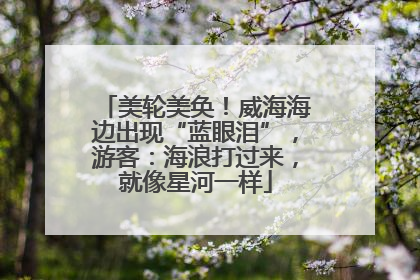 美轮美奂！威海海边出现“蓝眼泪”，游客：海浪打过来，就像星河一样