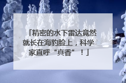 精密的水下雷达竟然就长在海豹脸上，科学家直呼“真香”！