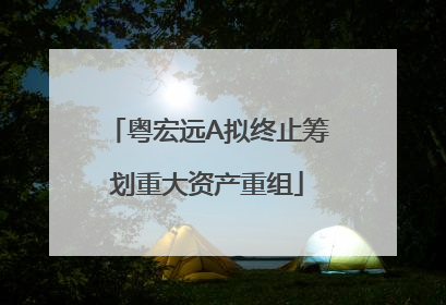 粤宏远A拟终止筹划重大资产重组