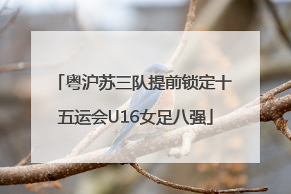 粤沪苏三队提前锁定十五运会U16女足八强