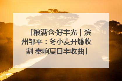 粮满仓·好丰光｜滨州邹平：冬小麦开镰收割 奏响夏日丰收曲
