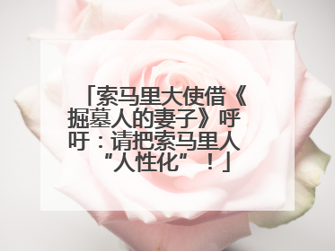 索马里大使借《掘墓人的妻子》呼吁：请把索马里人“人性化”！