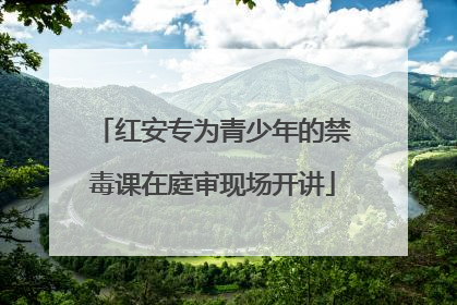 红安专为青少年的禁毒课在庭审现场开讲