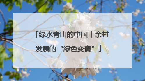 绿水青山的中国丨余村发展的“绿色变奏”