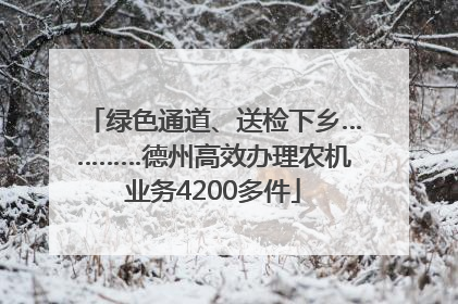 绿色通道、送检下乡…………德州高效办理农机业务4200多件
