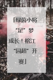 绿茵小将 “足”梦成长！榕江“园超”开赛