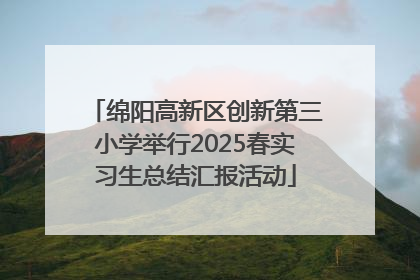 绵阳高新区创新第三小学举行2025春实习生总结汇报活动
