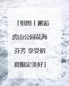 组图丨邂逅虎山公园花海芬芳 享受初夏限定美好
