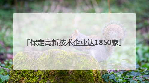 保定高新技术企业达1850家