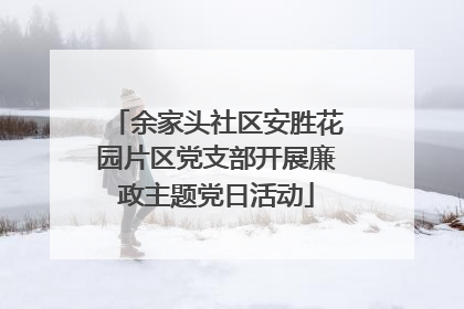 余家头社区安胜花园片区党支部开展廉政主题党日活动