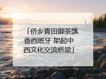 侨乡青田御茶飘香西班牙 架起中西文化交流桥梁
