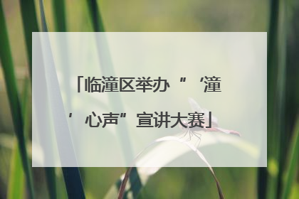 临潼区举办“‘潼’心声”宣讲大赛