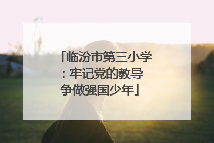 临汾市第三小学：牢记党的教导 争做强国少年