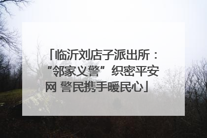 临沂刘店子派出所：“邻家义警”织密平安网 警民携手暖民心