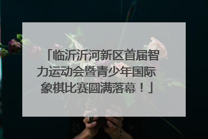 临沂沂河新区首届智力运动会暨青少年国际象棋比赛圆满落幕！