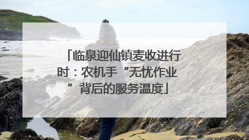 临泉迎仙镇麦收进行时：农机手“无忧作业”背后的服务温度