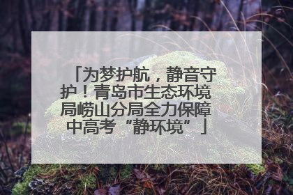 为梦护航，静音守护！青岛市生态环境局崂山分局全力保障中高考“静环境”