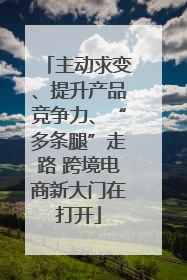 主动求变、提升产品竞争力、“多条腿”走路 跨境电商新大门在打开