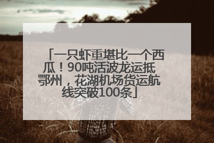 一只虾重堪比一个西瓜！90吨活波龙运抵鄂州，花湖机场货运航线突破100条