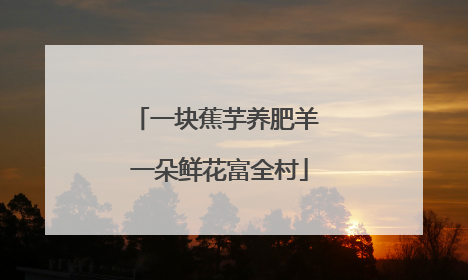 一块蕉芋养肥羊 一朵鲜花富全村
