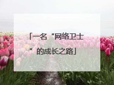 一名“网络卫士”的成长之路