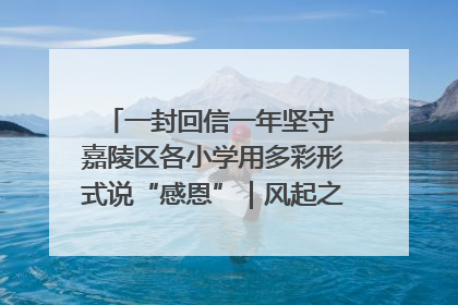 一封回信一年坚守 嘉陵区各小学用多彩形式说“感恩”｜风起之江 扶摇直上