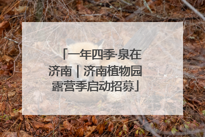 一年四季·泉在济南｜济南植物园露营季启动招募