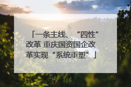 一条主线、“四性”改革 重庆国资国企改革实现“系统重塑”