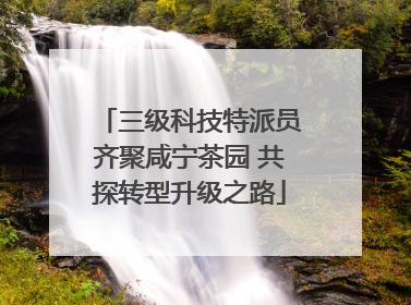三级科技特派员齐聚咸宁茶园 共探转型升级之路