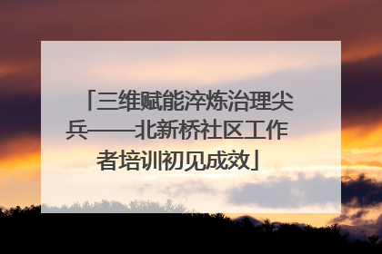 三维赋能淬炼治理尖兵——北新桥社区工作者培训初见成效