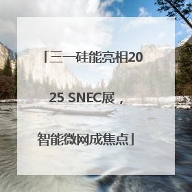三一硅能亮相2025 SNEC展，智能微网成焦点