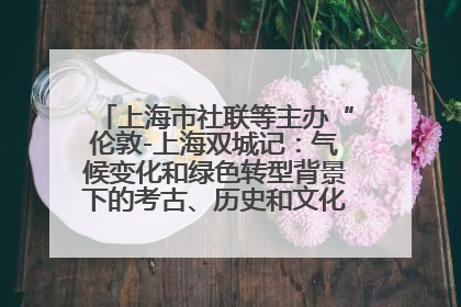 上海市社联等主办“伦敦-上海双城记：气候变化和绿色转型背景下的考古、历史和文化遗产”学术对话