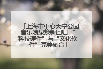 上海市中心大宁公园音乐喷泉焕新回归 “科技硬件”与“文化软件”完美融合
