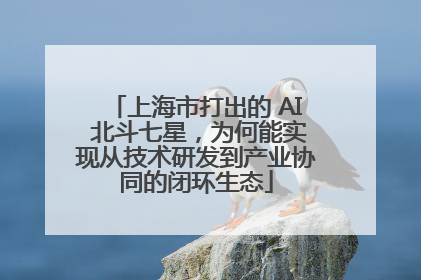 上海市打出的 AI 北斗七星，为何能实现从技术研发到产业协同的闭环生态