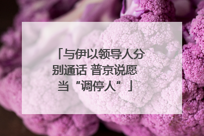 与伊以领导人分别通话 普京说愿当“调停人”