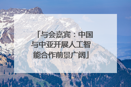 与会嘉宾：中国与中亚开展人工智能合作前景广阔