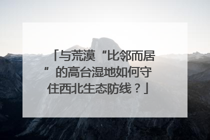 与荒漠“比邻而居”的高台湿地如何守住西北生态防线？