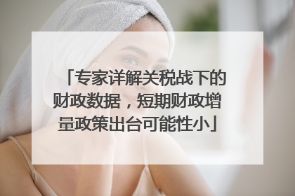专家详解关税战下的财政数据，短期财政增量政策出台可能性小