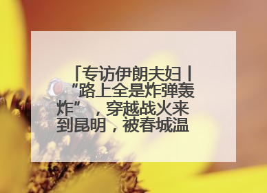 专访伊朗夫妇丨“路上全是炸弹轰炸”，穿越战火来到昆明，被春城温暖打动
