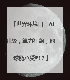 世界环境日｜AI升级，算力狂飙，地球能承受吗？