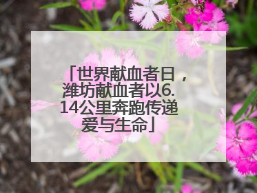 世界献血者日，潍坊献血者以6.14公里奔跑传递爱与生命