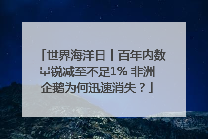 世界海洋日丨百年内数量锐减至不足1% 非洲企鹅为何迅速消失？