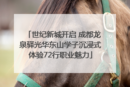 世纪新城开启 成都龙泉驿光华东山学子沉浸式体验72行职业魅力