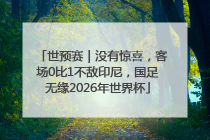 世预赛｜没有惊喜，客场0比1不敌印尼，国足无缘2026年世界杯